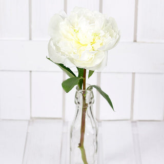 Premium White Peonies Flower October, November & December