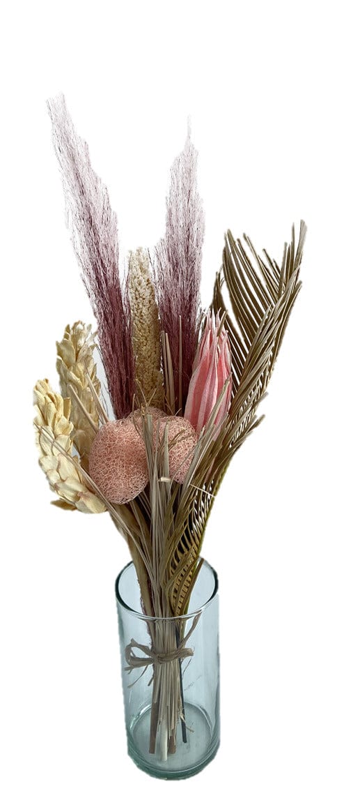 Silk Pink Pampas x 11 Plume - Potomac Floral Wholesale