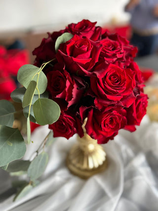 Born Free Rose | Deep Burgundy Red Premium Roses | Farm Direct Wholesale | Free Shipping