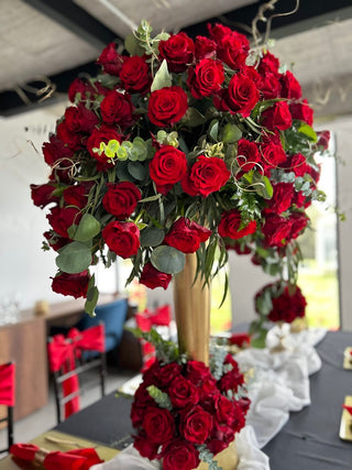 Born Free Rose | Deep Burgundy Red Premium Roses | Farm Direct Wholesale | Free Shipping