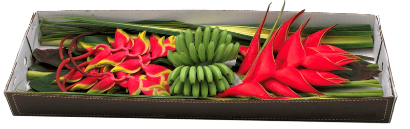 Tropical Combo Capricho Box By Magic Flowers