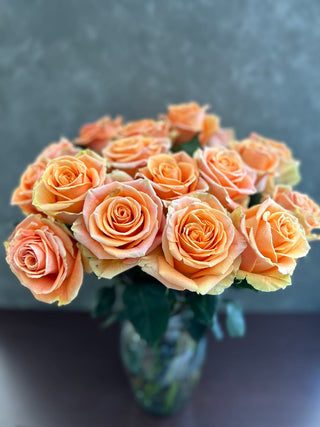 Cavendish Rose | Romantic Peachy Coral Premium Roses | Farm Direct Wholesale | Free Shipping