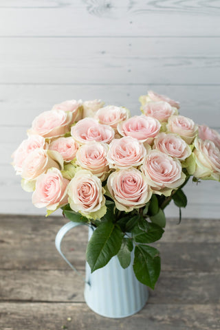 Frutteto Roses – Soft Pink with Green Outer Petals Wholesale Flowers | Farm Direct | Free Delivery