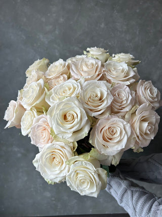 Giuliana Rose | Soft Ivory & Blush Cream Premium Roses | Farm Direct Wholesale | Free Shipping