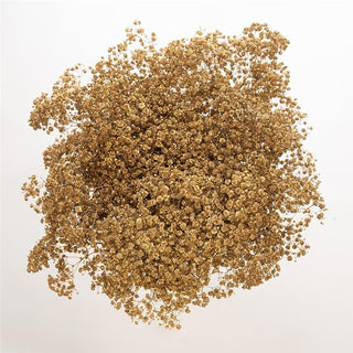 Metallic Gold & Silver Hypericum – 10-Stem Bunches (10-Bunch Box)