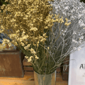 Metallic Gold & Silver Tinted Gypsophila – 250g Bunches (8-Bunch Box)
