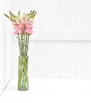 Fresh Pink Snapdragon | Romantic Line Filler for Wedding & Garden-Style Florals
