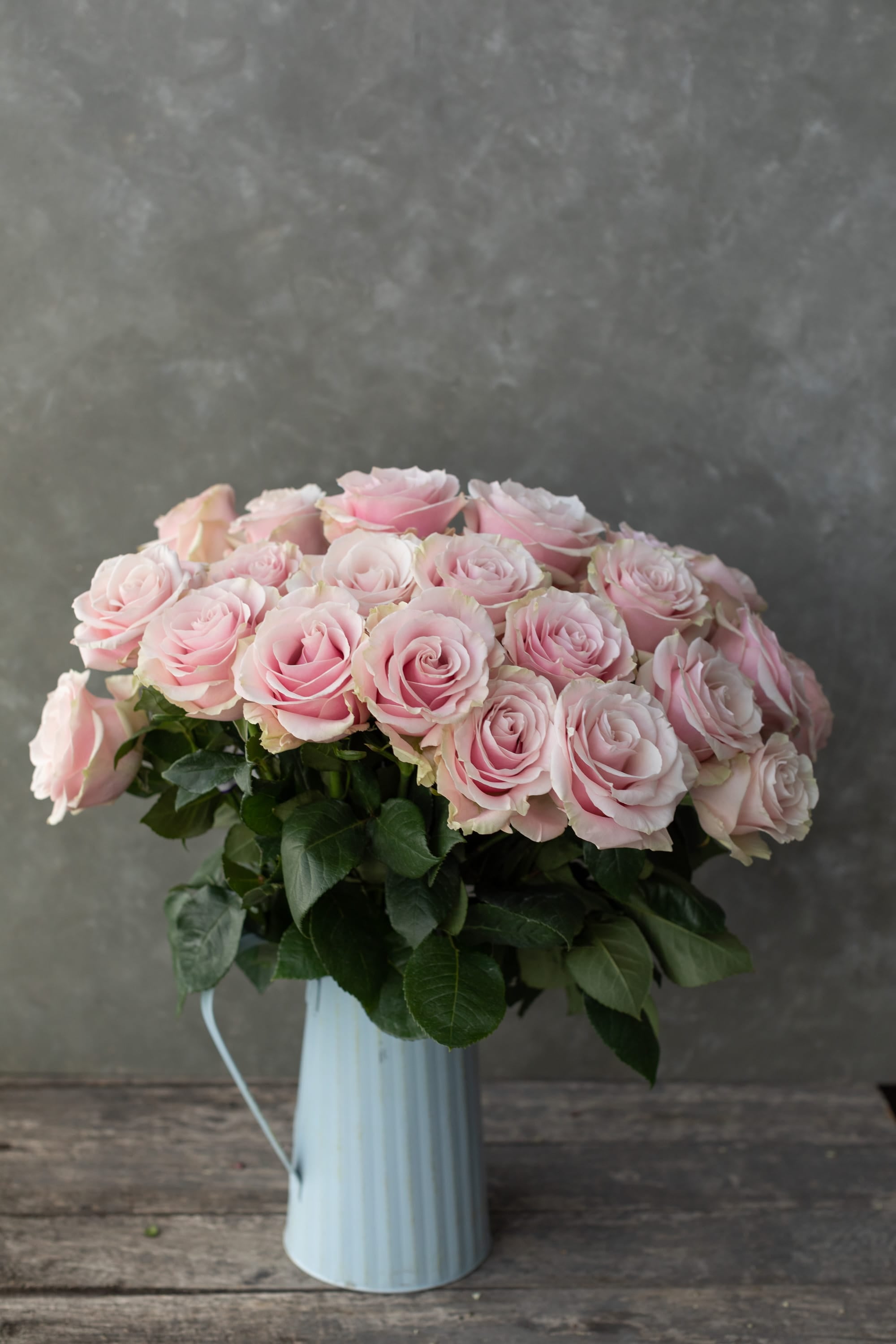 monstera magic with a blush of rose Pink Mondial Rose | Soft Blush Pink Premium Roses | Farm Direct Wholesale