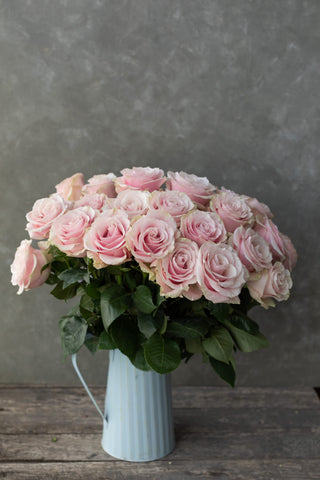 Pink Mondial Rose | Soft Blush Pink Premium Roses | Farm Direct Wholesale | Free Shipping