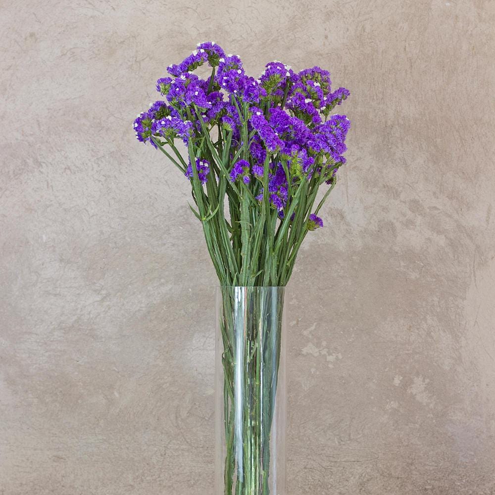 Buy Online High quality and Fresh Purple Statice - Greenchoice Flowers