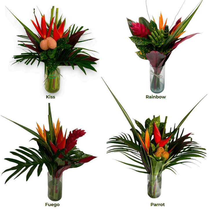 Fresh Regular Tropical Bouquets Wholesale | Farm-Direct Regular Bouque ...