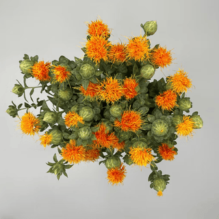 Safflower Orange — USA Grown Fresh Cut Orange Safflower, California Wholesale
