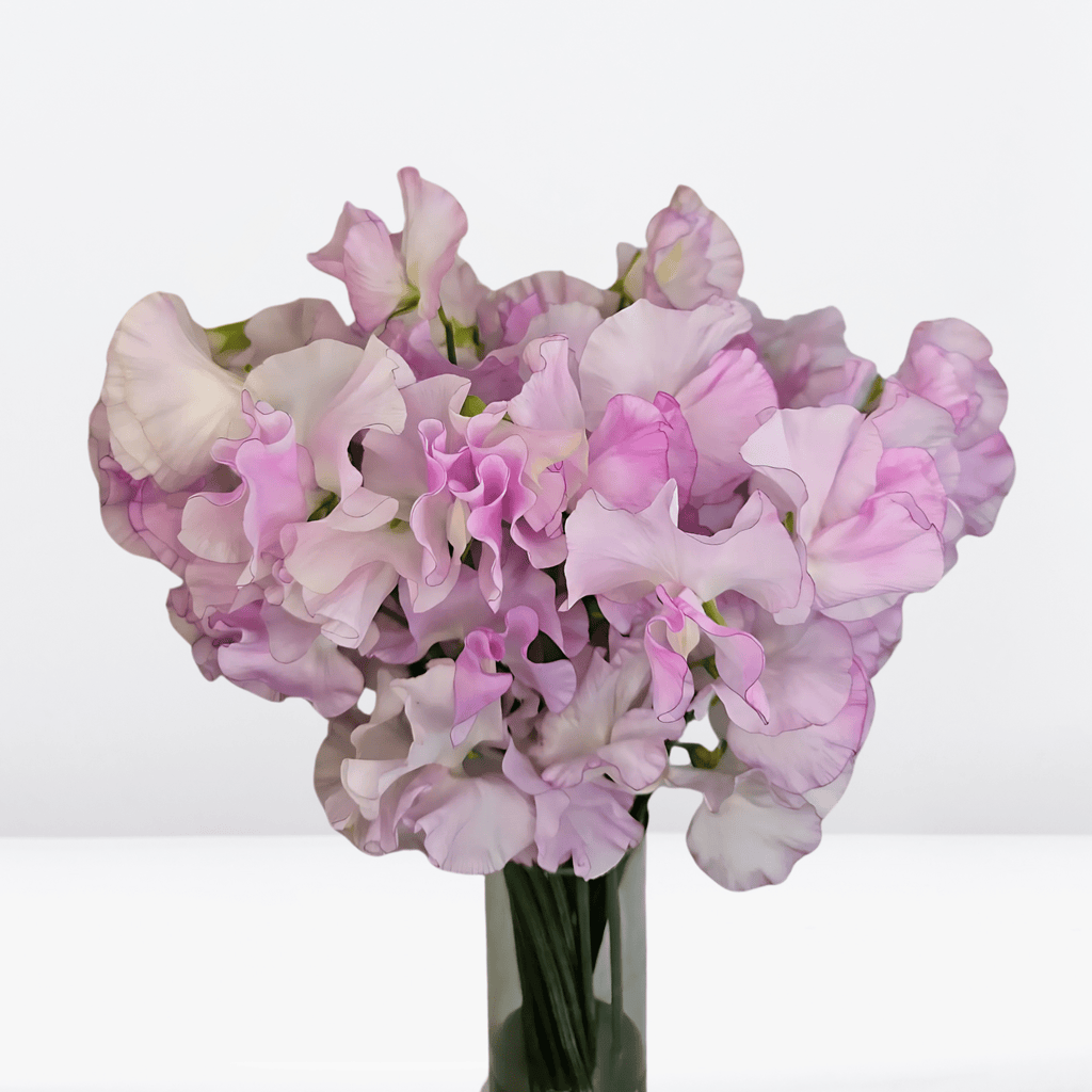 Soft Pink Sweet Pea Flowers – Romantic Floral Design – Greenchoice Flowers