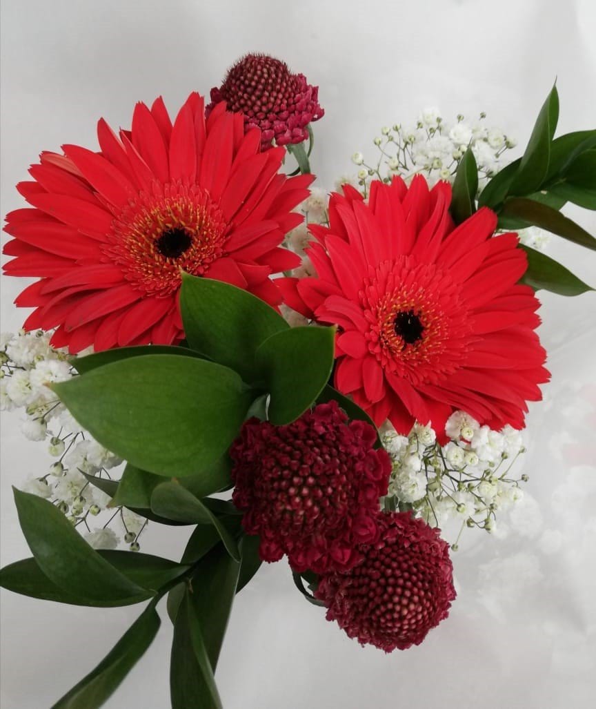 Buy Online High quality and Fresh Holiday Classics Bouquet - Greenchoice Flowers