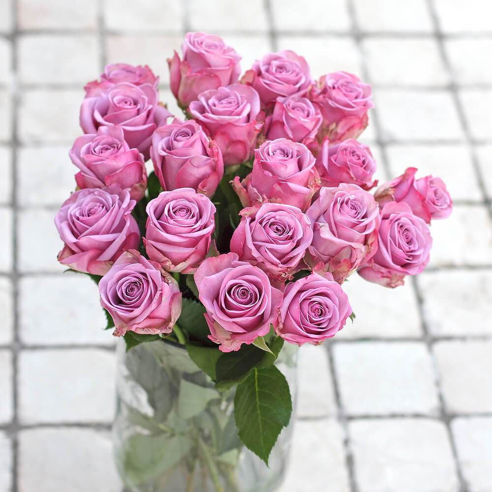 Buy Online High quality and Fresh Lavender Rose - Greenchoice Flowers
