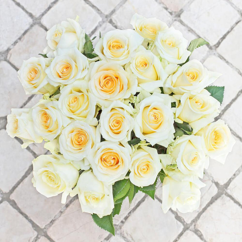 Buy Online High quality and Fresh Creme d' la Creme Rose - Greenchoice Flowers