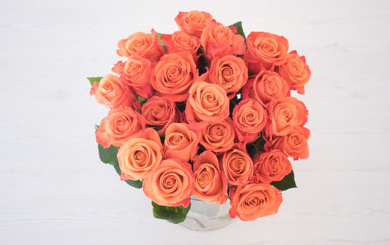 Buy Online High quality and Fresh Orange Crush Rose - Greenchoice Flowers