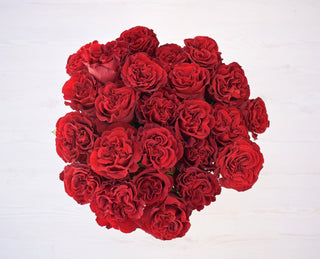 Buy Online High quality and Fresh Hearts Rose - Greenchoice Flowers