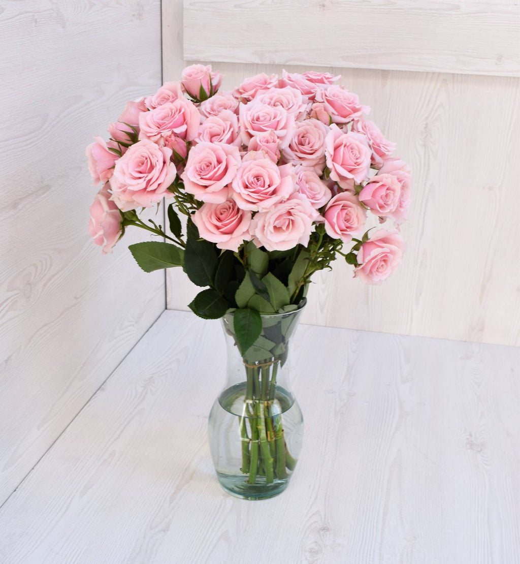 Buy Online High quality and Fresh Pink Majolica Spray Rose - Greenchoice Flowers