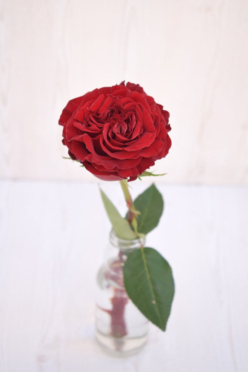 Buy Online High quality and Fresh Hearts Rose - Greenchoice Flowers