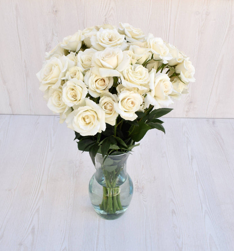 34 White Roses Fresh White Rose Flowers