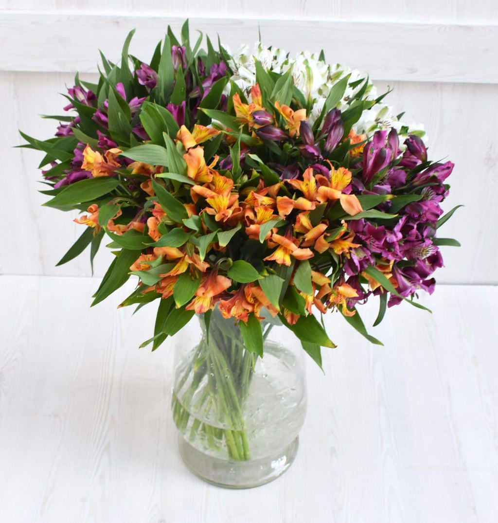 Buy Online High quality and Fresh Assorted Alstroemeria - Greenchoice Flowers