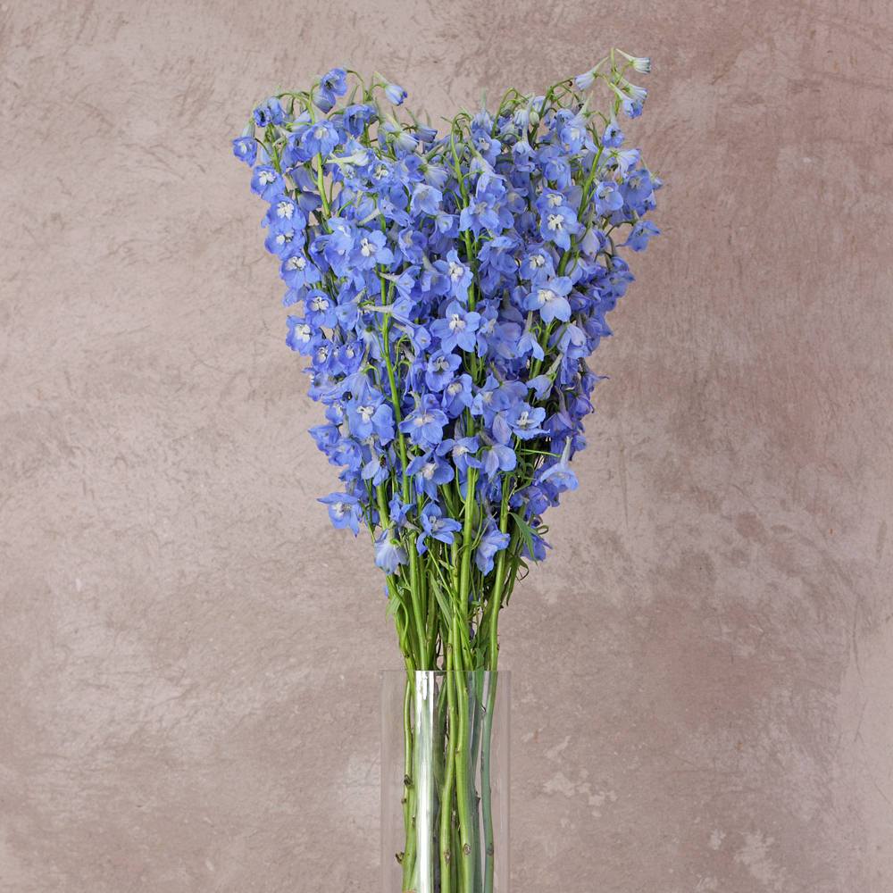 light blue delphinium bouquet