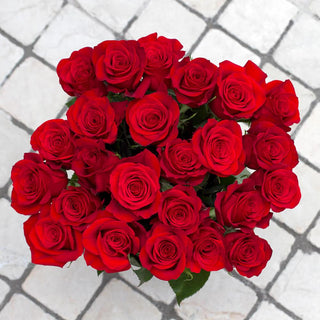 Buy Online High quality and Fresh Freedom Rose - Greenchoice Flowers