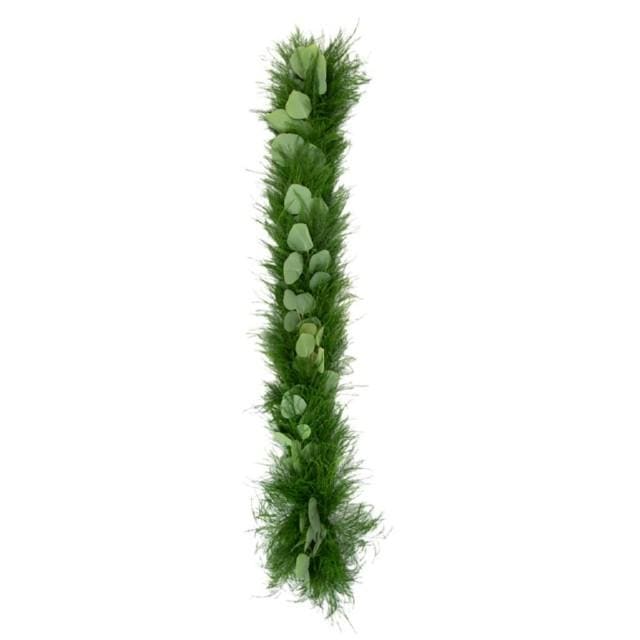 Buy Online High quality and Fresh Tree Fern Silver Dollar - Greenchoice Flowers