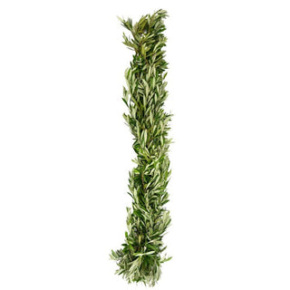 Buy Online High quality and Fresh Olive Garland - Greenchoice Flowers