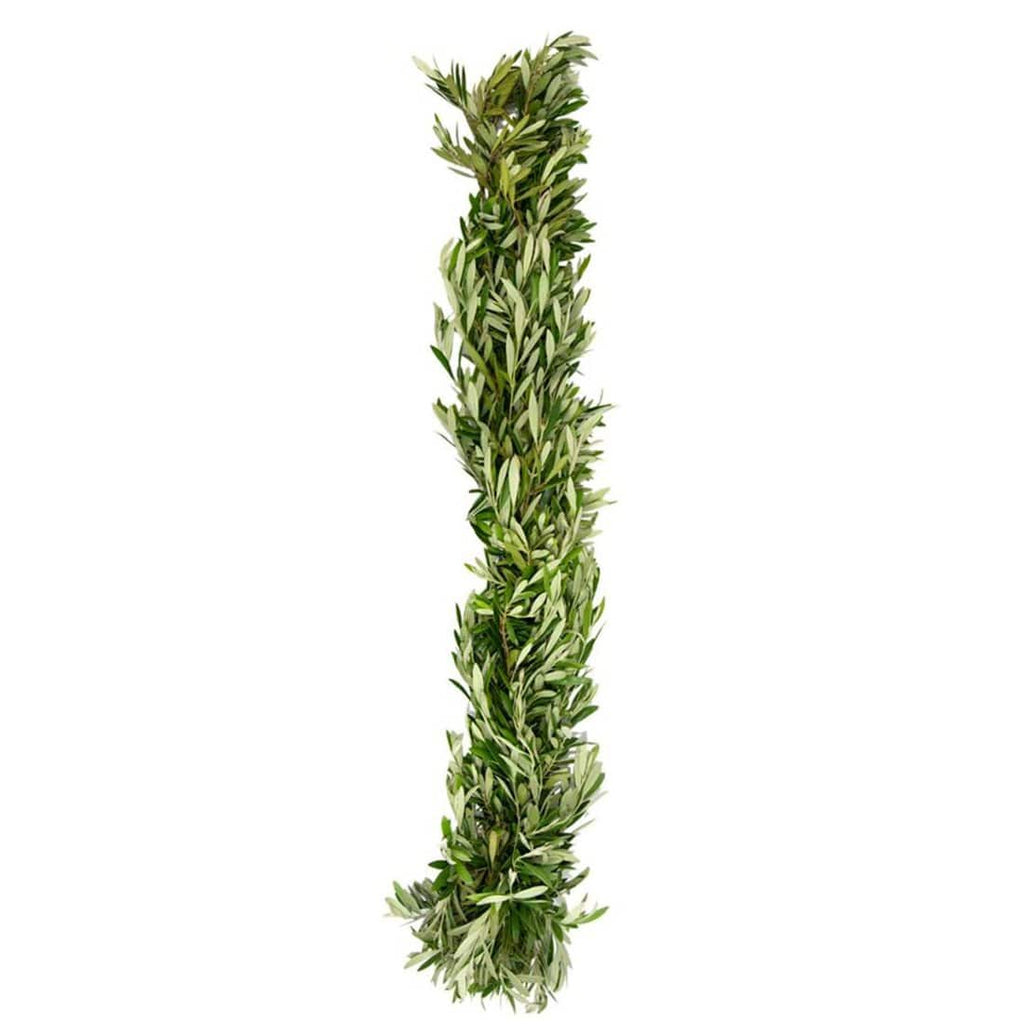 Buy Online High quality and Fresh Olive Garland - Greenchoice Flowers