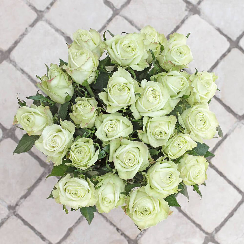 Buy Online High quality and Fresh Green Tea Rose - Greenchoice Flowers