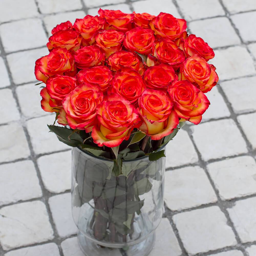Buy Online High quality and Fresh High & Magic Rose - Greenchoice Flowers