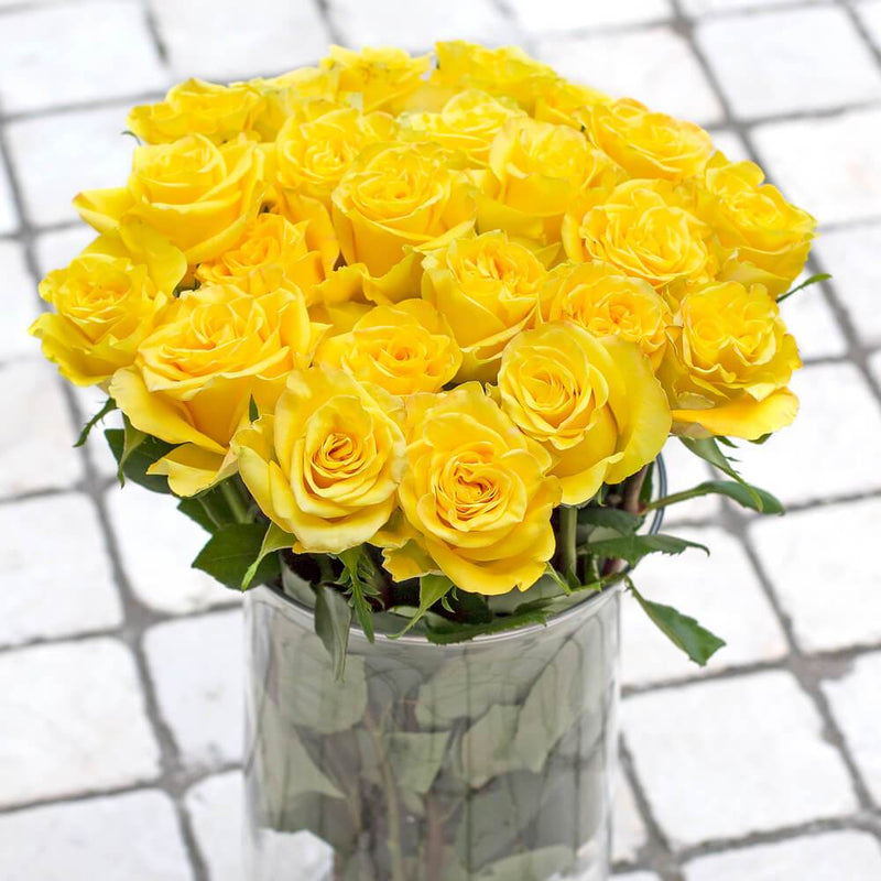 Buy Online High quality and Fresh High & Yellow Magic Rose - Greenchoice Flowers
