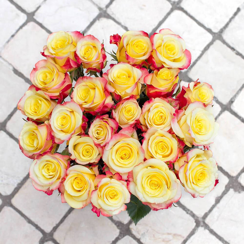 Buy Online High quality and Fresh Hot Merengue Rose - Greenchoice Flowers