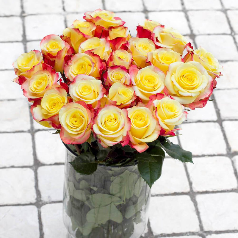 Buy Online High quality and Fresh Hot Merengue Rose - Greenchoice Flowers
