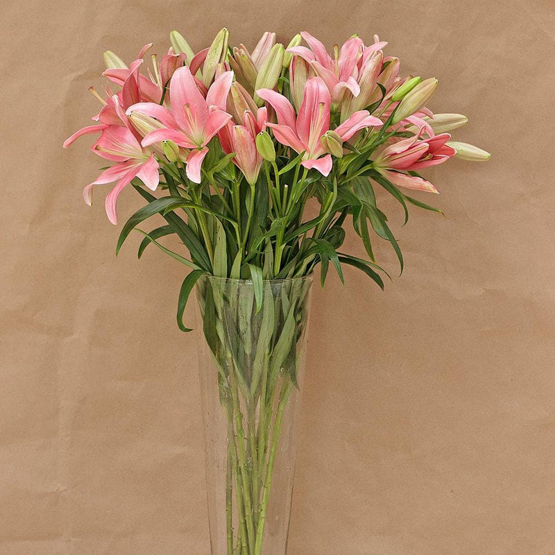 Buy Online High quality and Fresh Pink LA Lilies - Greenchoice Flowers