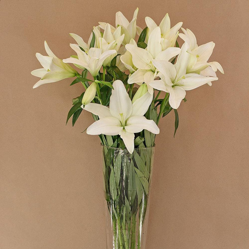 Buy Online High quality and Fresh White LA Lilies - Greenchoice Flowers