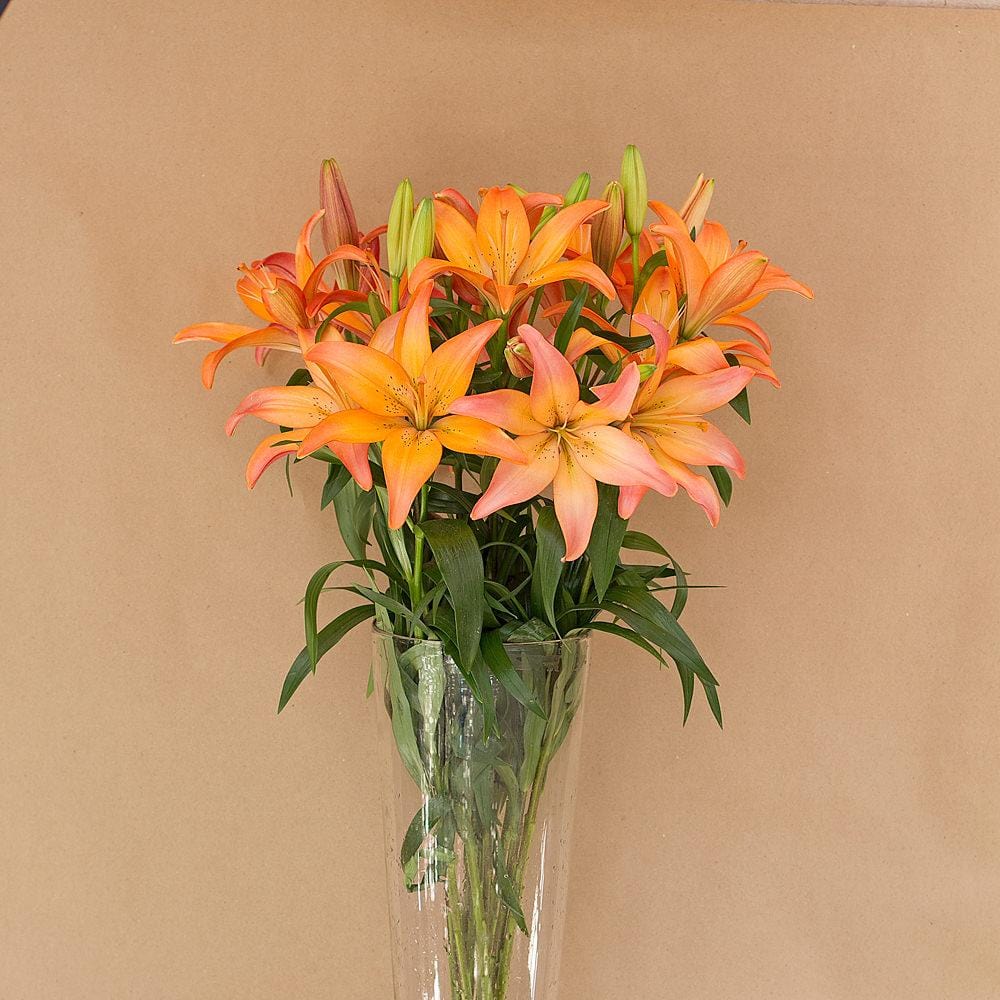 Buy Online High quality and Fresh Orange LA Lilies - Greenchoice Flowers