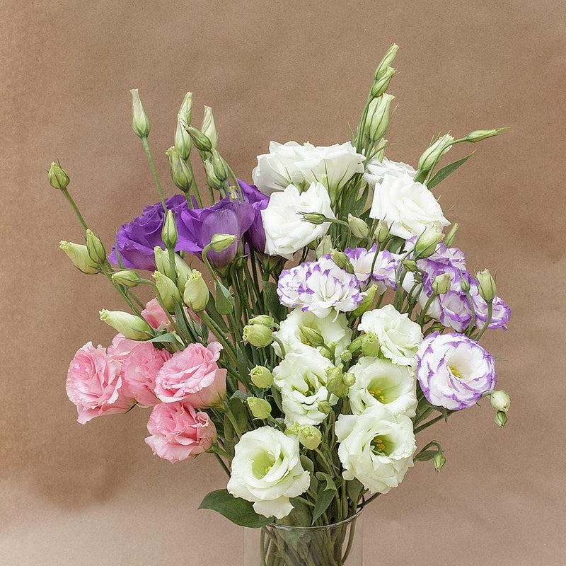 Buy Online High quality and Fresh Assorted Lisianthus - Greenchoice Flowers