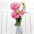 Pink Lisianthus Wholesale Wedding Flower (Fresh Cut)