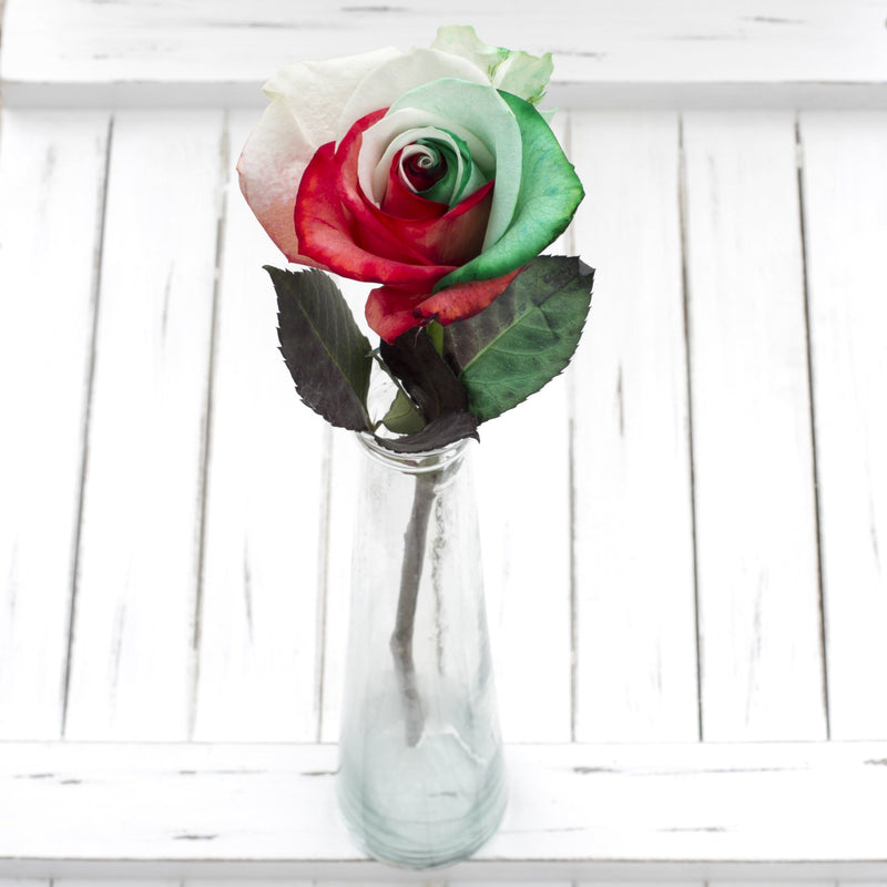 Buy Online High quality and Fresh Red, Green and White Tinted Rose 25ST - Greenchoice Flowers