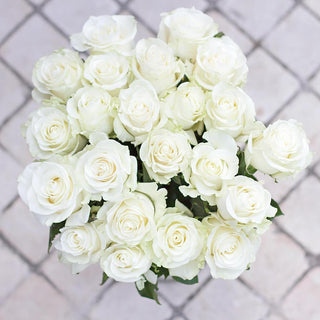 Buy Online High quality and Fresh Mondial Rose - Greenchoice Flowers