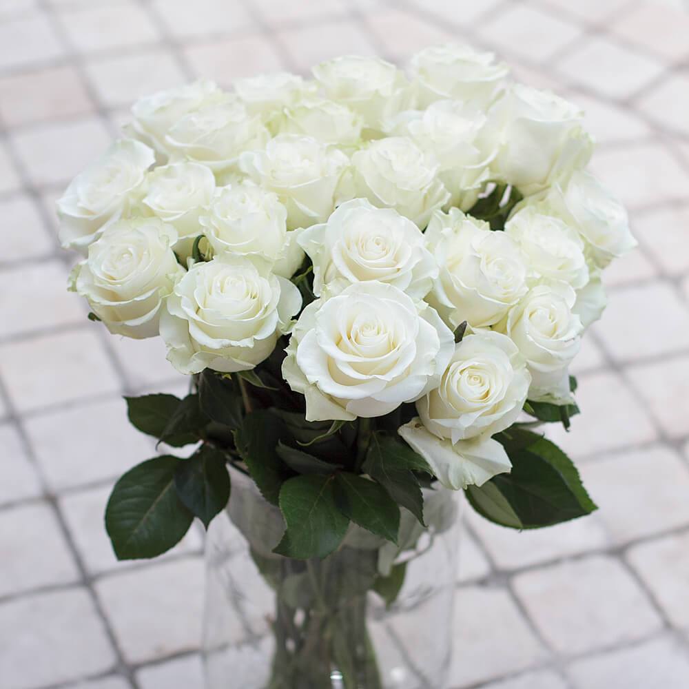 Buy Online High quality and Fresh Mondial Rose - Greenchoice Flowers