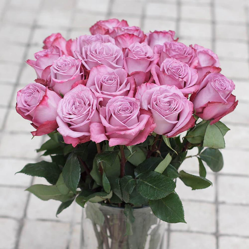 Buy Online High quality and Fresh Moody Blues Rose - Greenchoice Flowers