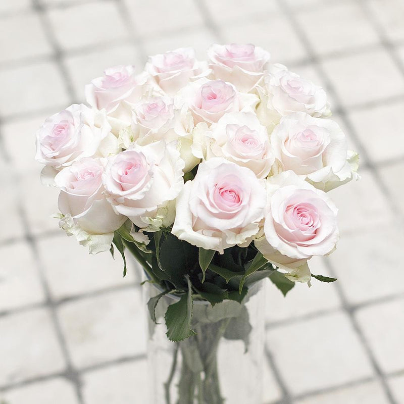 Buy Online High quality and Fresh Nena Rose - Greenchoice Flowers