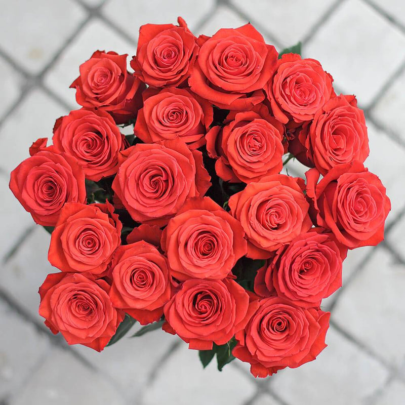 Buy Online High quality and Fresh Nina Rose - Greenchoice Flowers