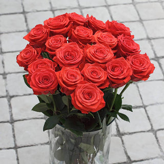 Buy Online High quality and Fresh Nina Rose - Greenchoice Flowers