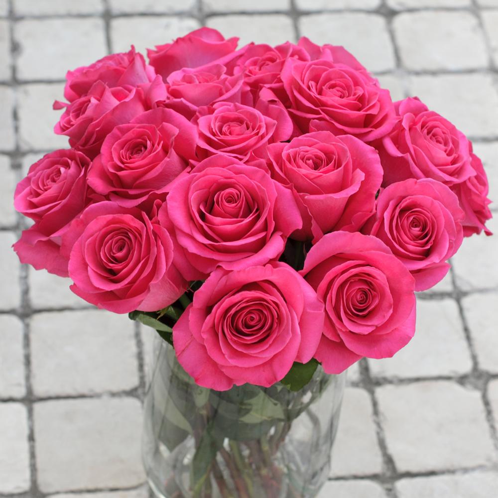Buy Online High quality and Fresh Hot Pink Rose - Greenchoice Flowers
