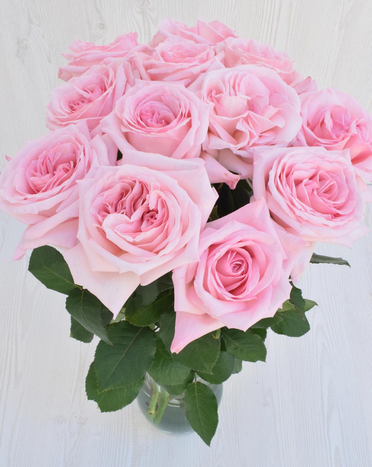 Light Pink Rose Petals  Rose Petals for Sale - Flower Explosion